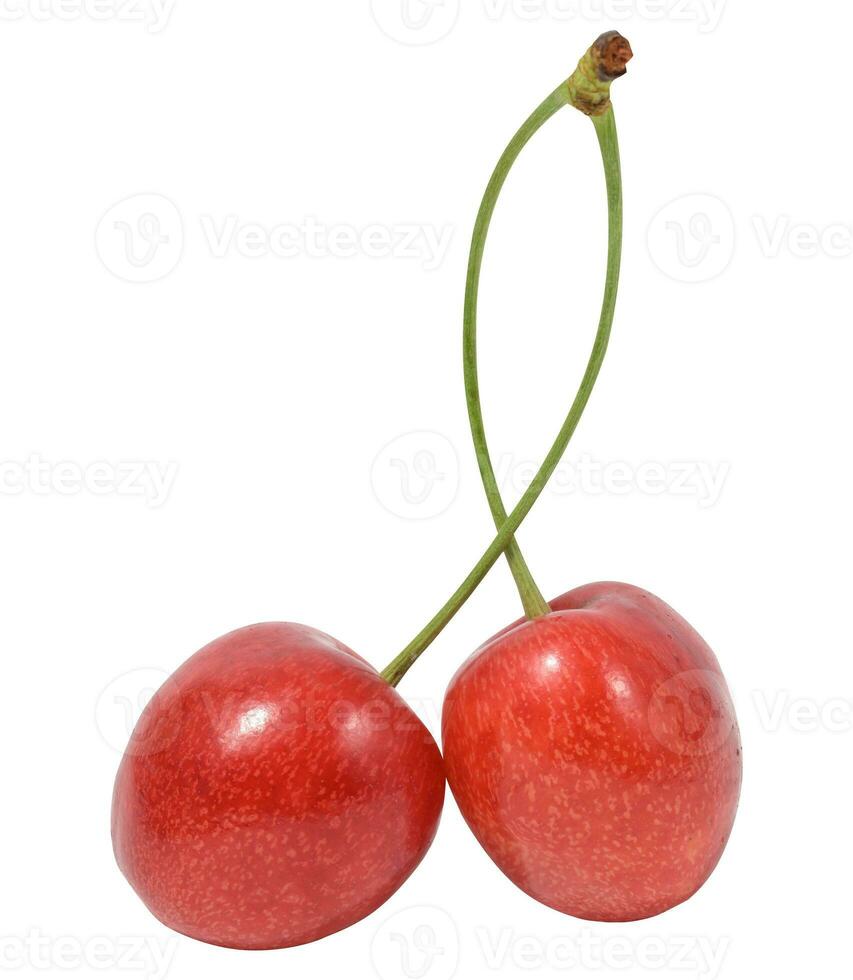 Ripe red cherry on a white isolated background photo