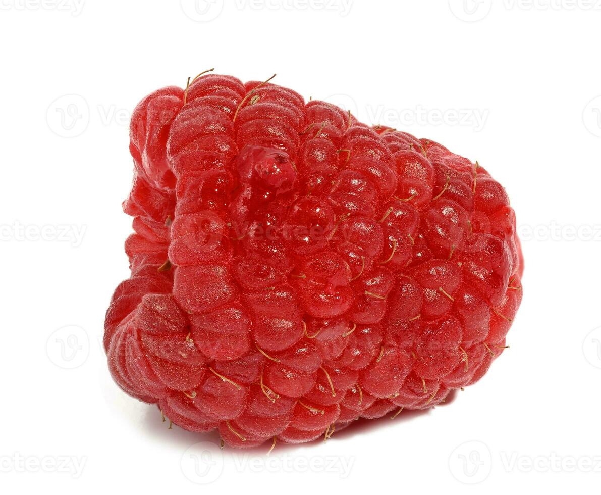 Ripe red raspberry on a white isolated background photo