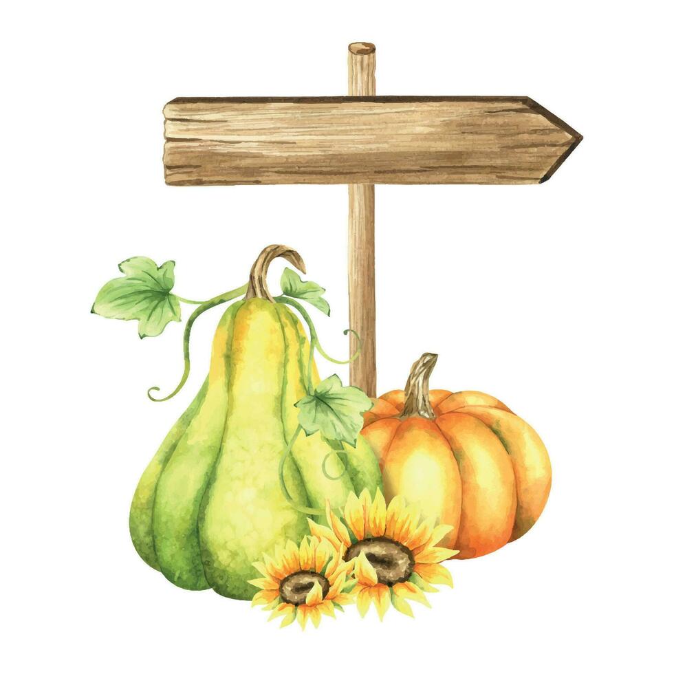 Wooden signboard. Wood board with orange and green pumpkins, sunflowers and leaves. Autumn pointer. Watercolor illustration. Isolated. For postcards, marketing, invitations. vector