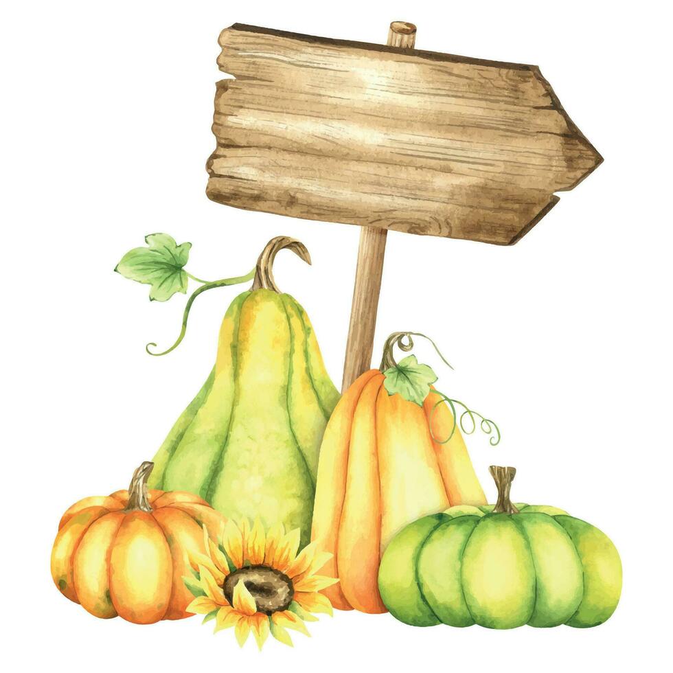 Wooden signboard. Wood board with orange and green pumpkins, sunflowers and leaves. Autumn pointer. Watercolor illustration. Isolated. For postcards, marketing, invitations. vector