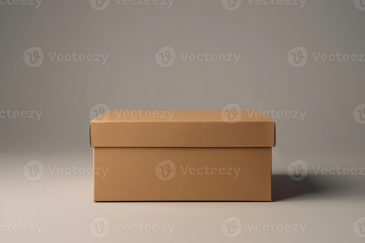 Cardboard box with lid.. photo