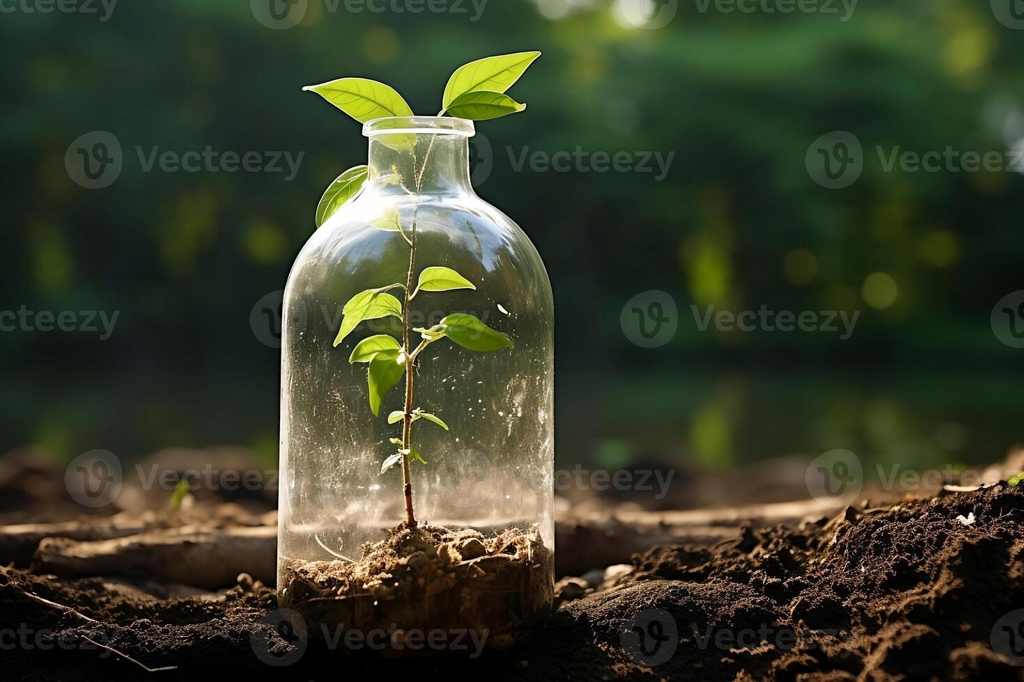 A tree sprout makes its way through a bottle on the ground. photo