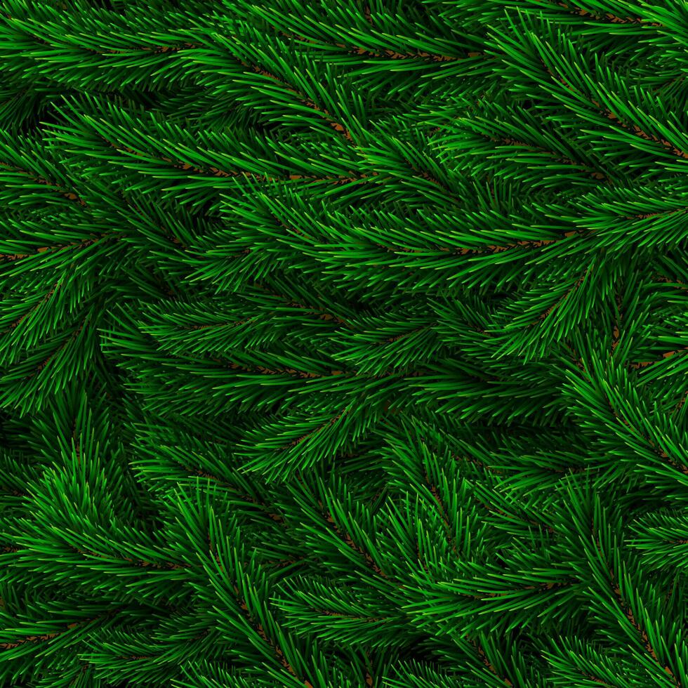 Fir branch backdrop design. Christmas decoration element. New Year tree branches background. Green colorful pine pattern. Vector illustration