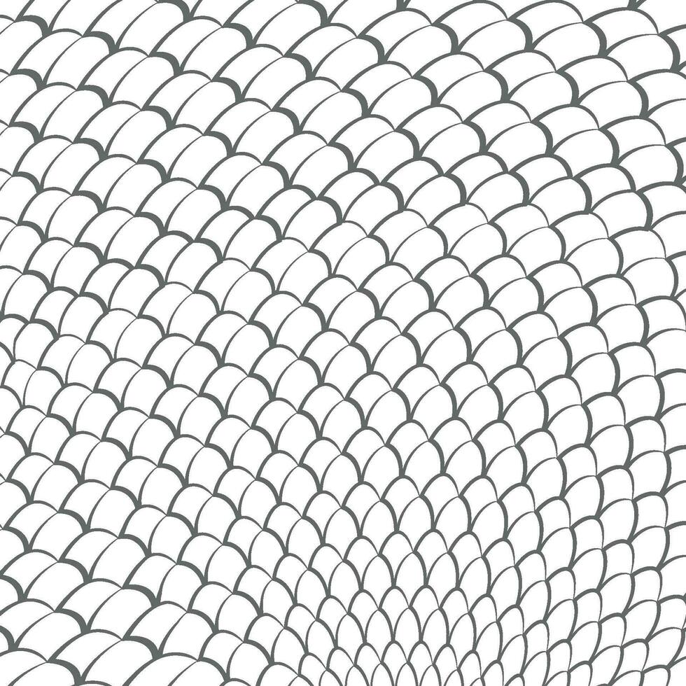 snake scales background vector