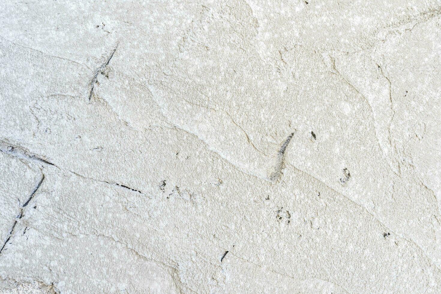 detail of the surface of a concrete wall photo