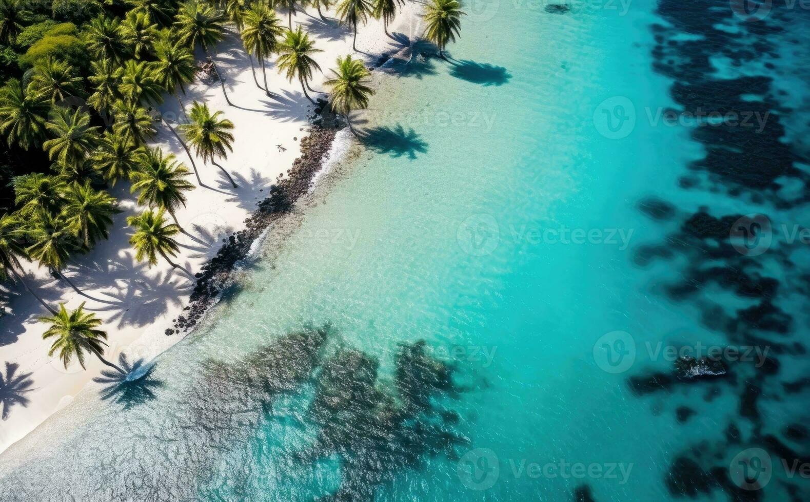 Beach with palm trees on the shore in the style of birds-eye-view. Turquoise and white plane view on beach aerial photography. photo