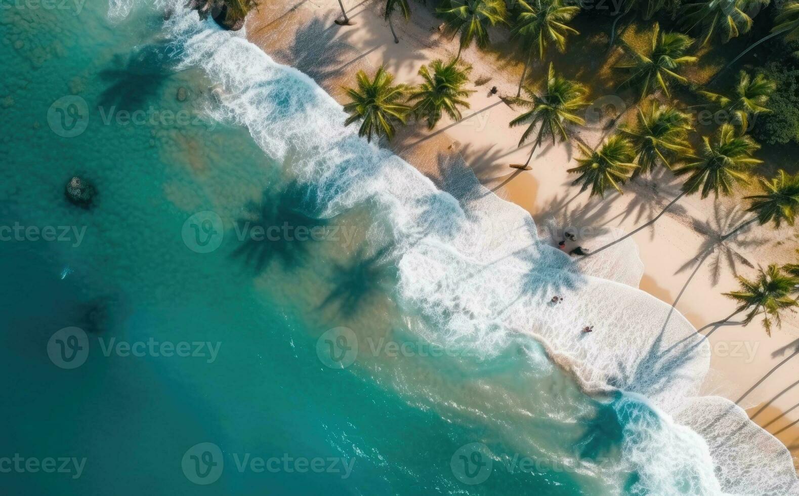 Beach with palm trees on the shore in the style of birds-eye-view. Turquoise and white plane view on beach aerial photography. photo