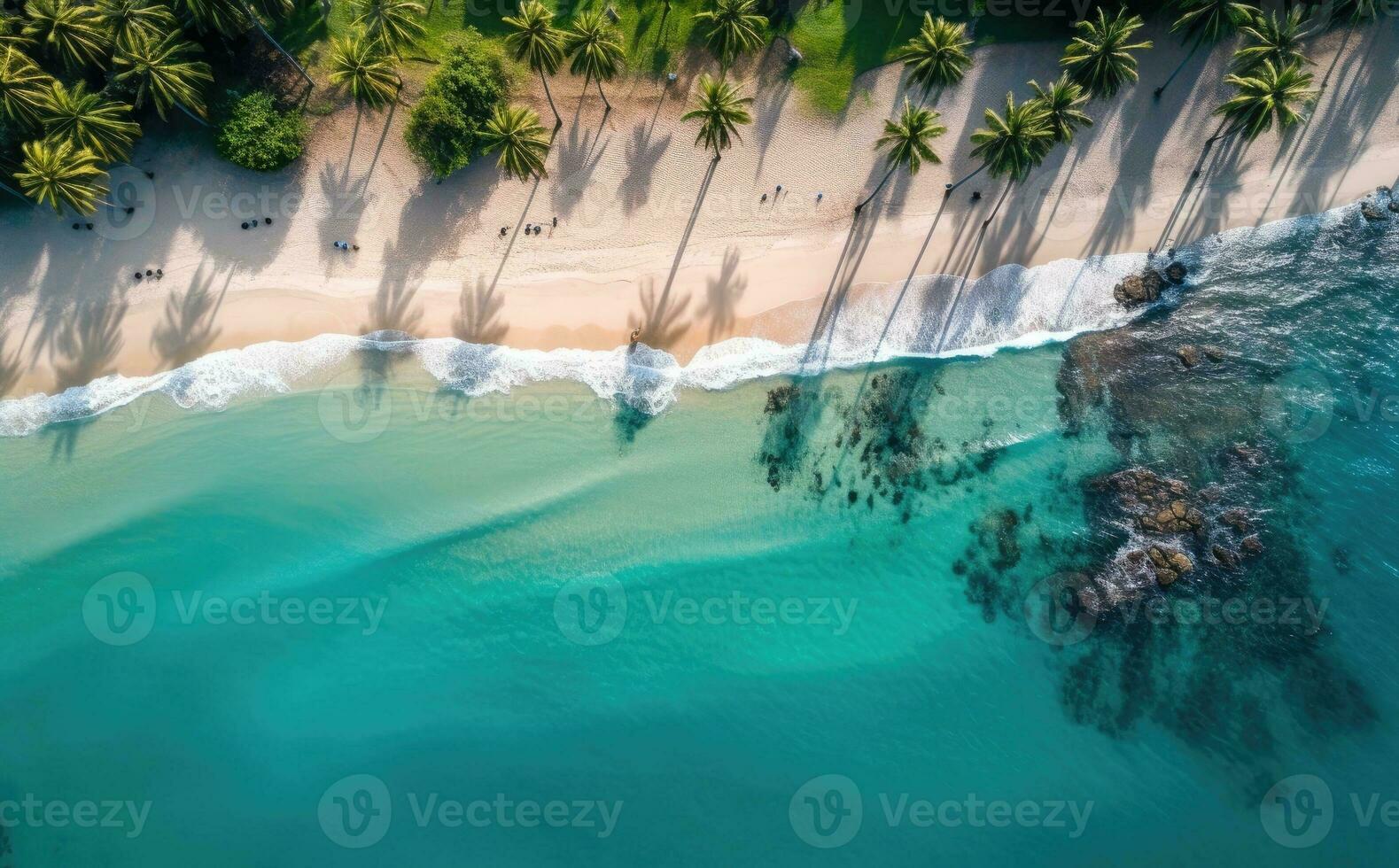 Beach with palm trees on the shore in the style of birds-eye-view. Turquoise and white plane view on beach aerial photography. photo