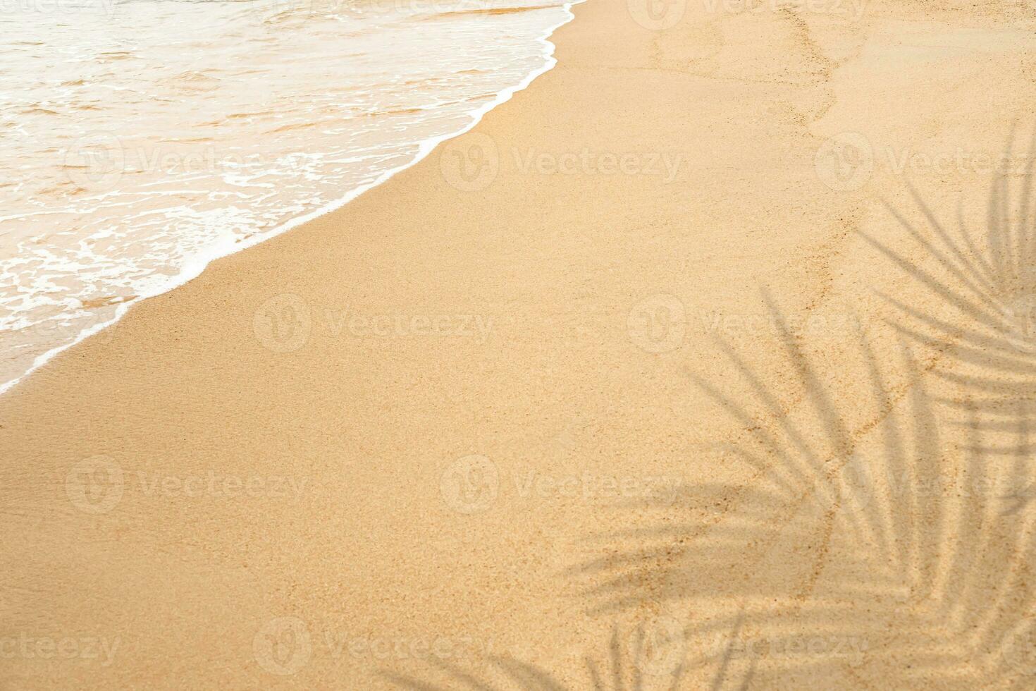 Sand beach texture background with palm leaves silhouette,Coconut leaf Shadow on Brown Sand Surface background,Backdrop Wide Horizon banner for Summer Product Presentation photo