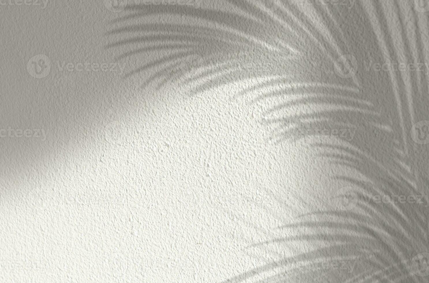 Shadow Palm Leaves silhouette on white concrete wall background,Tropical Coconut Leaf Overlay, on grey cement,Banner Mock up Product Presentation for Spring Summer photo