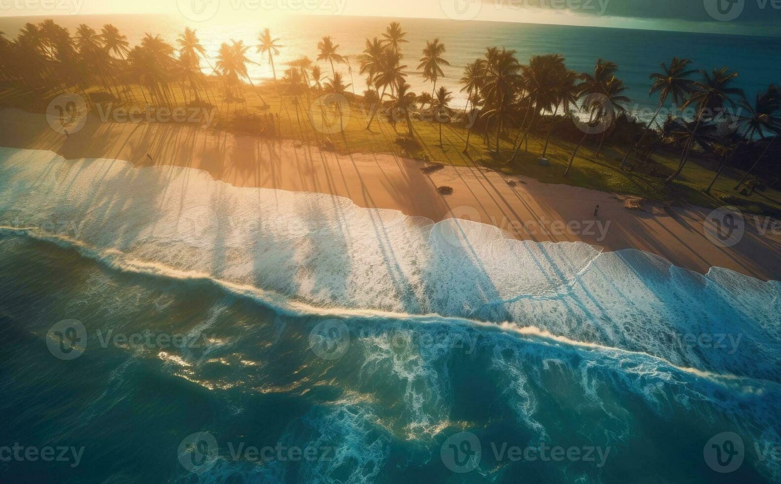 Tropical beach with palm trees from the top in low light photo