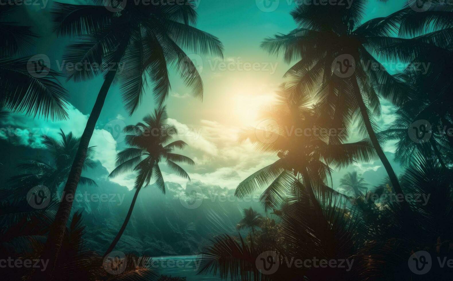 Tropical beach with palm trees from the top in low light photo