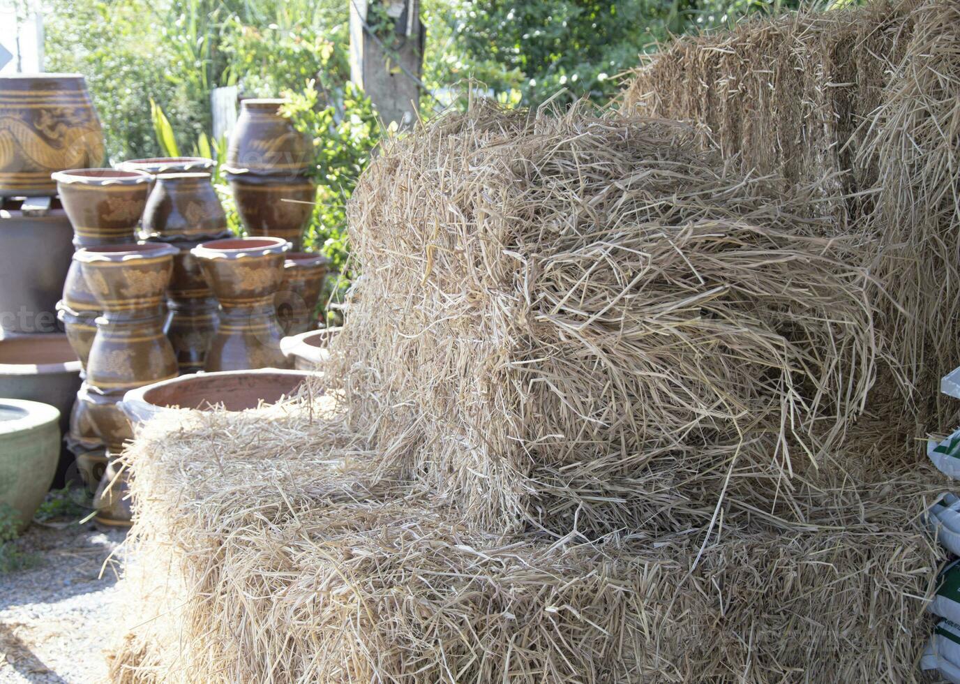 Straw briquettes are commonly used in agriculture and animal husbandry. photo