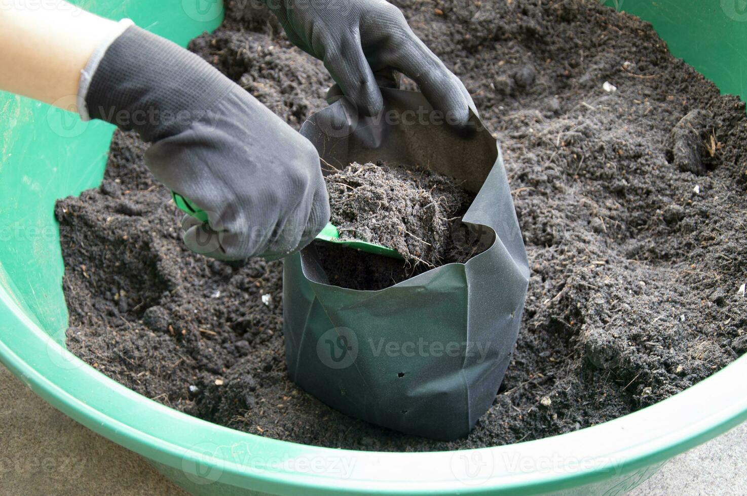 Farmers are packing potting soil into seeding bags. photo