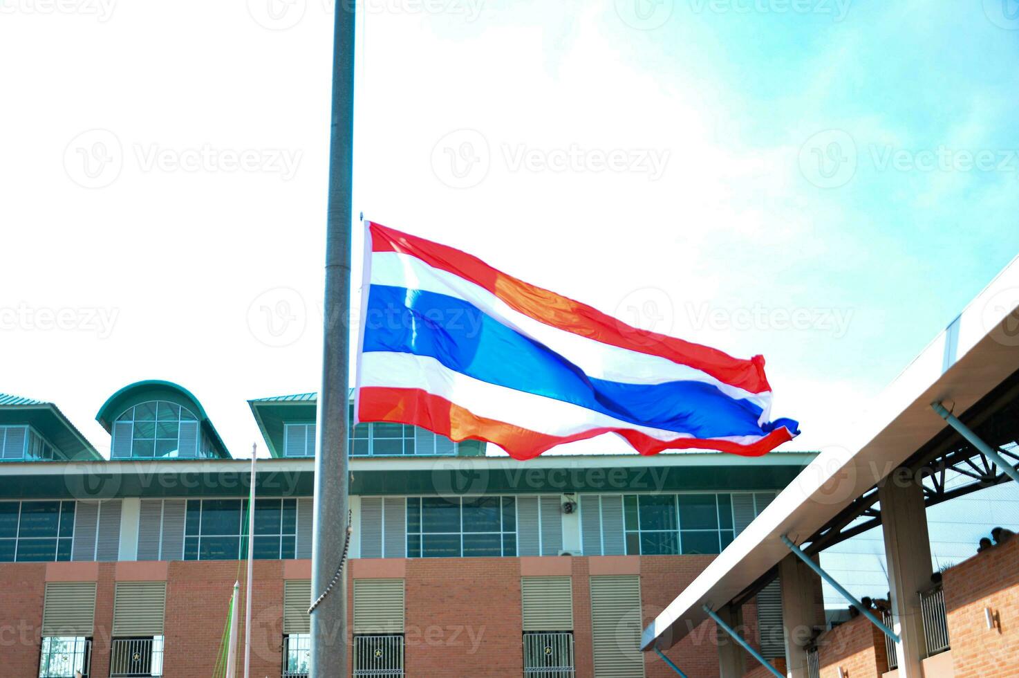 national flag of thailand photo