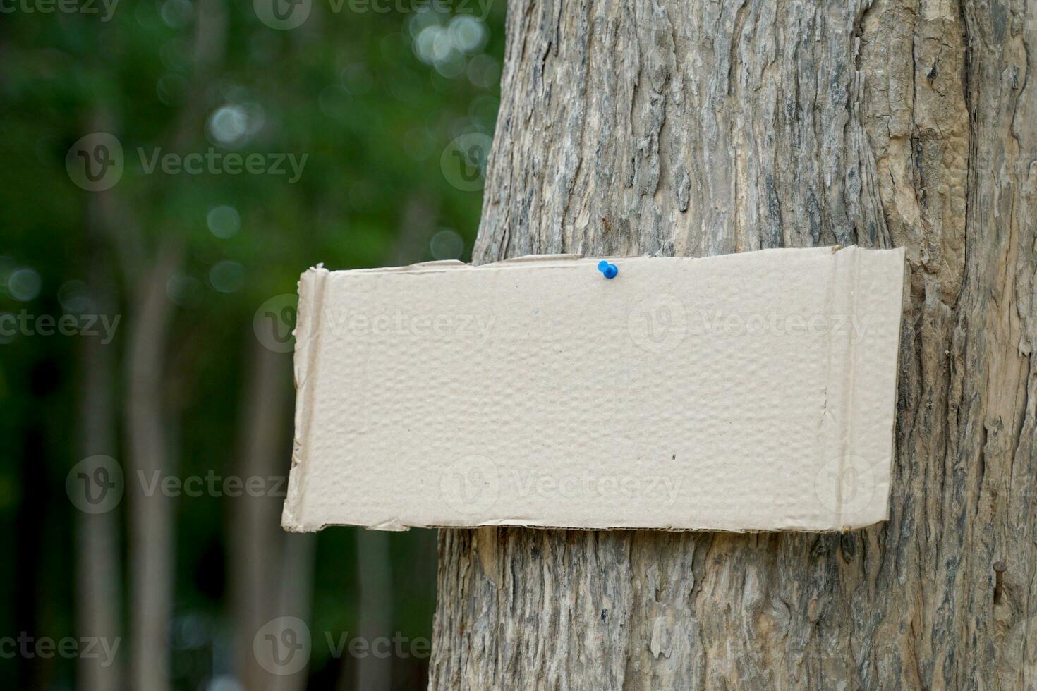 Crate paper sign on the tree for writing environmental campaign messages and forest conservation, for example, do not cut trees, plant conservation areas, love the world, love trees, etc. photo