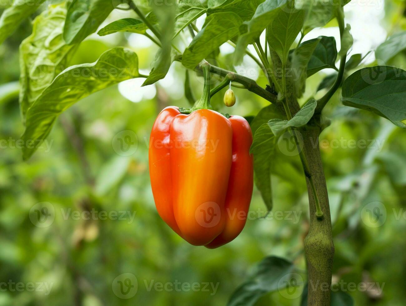 bell pepper hanging on tree in garden Generative AI photo