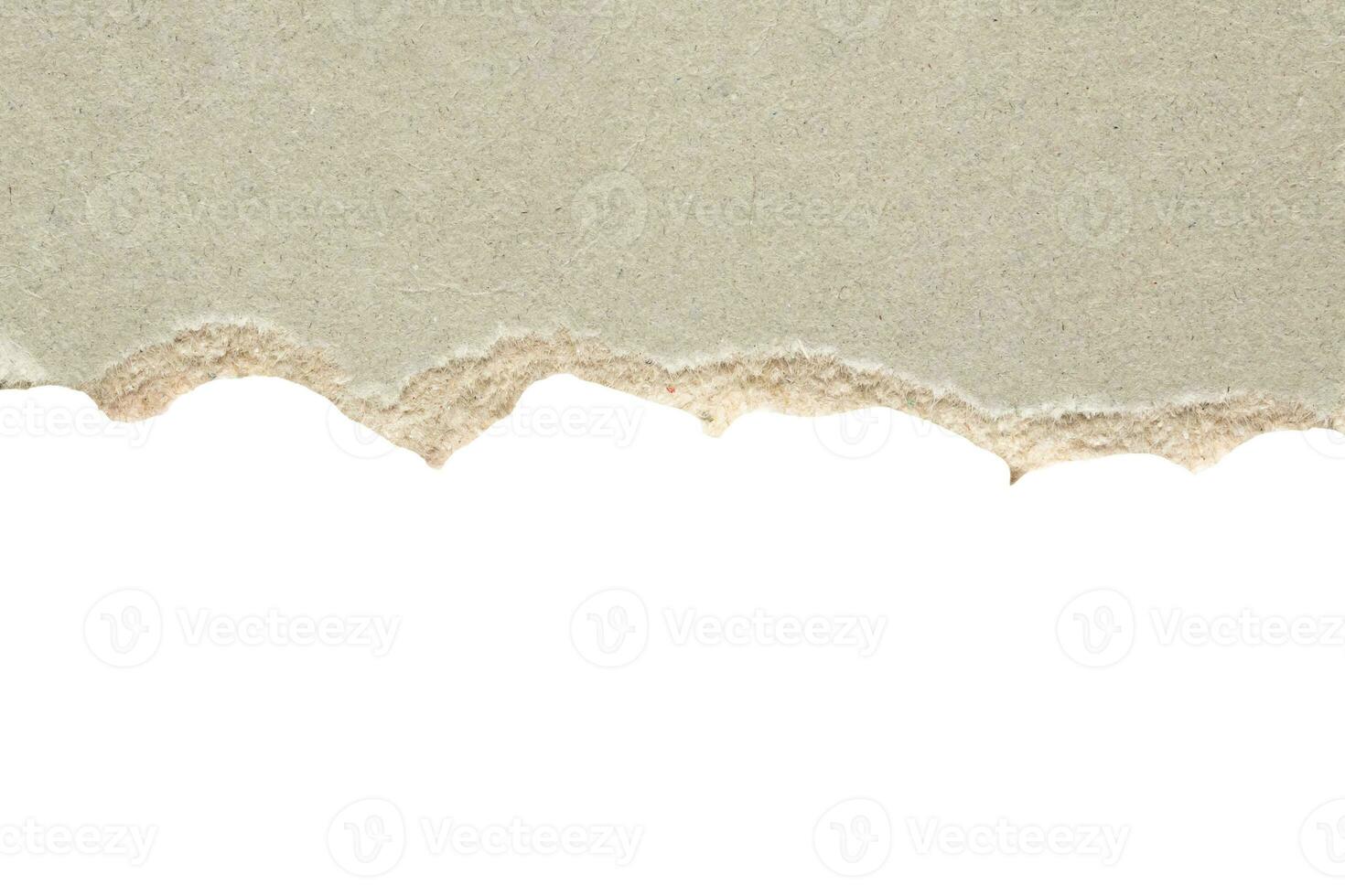 Gray ripped paper torn edges strips isolated on white background photo