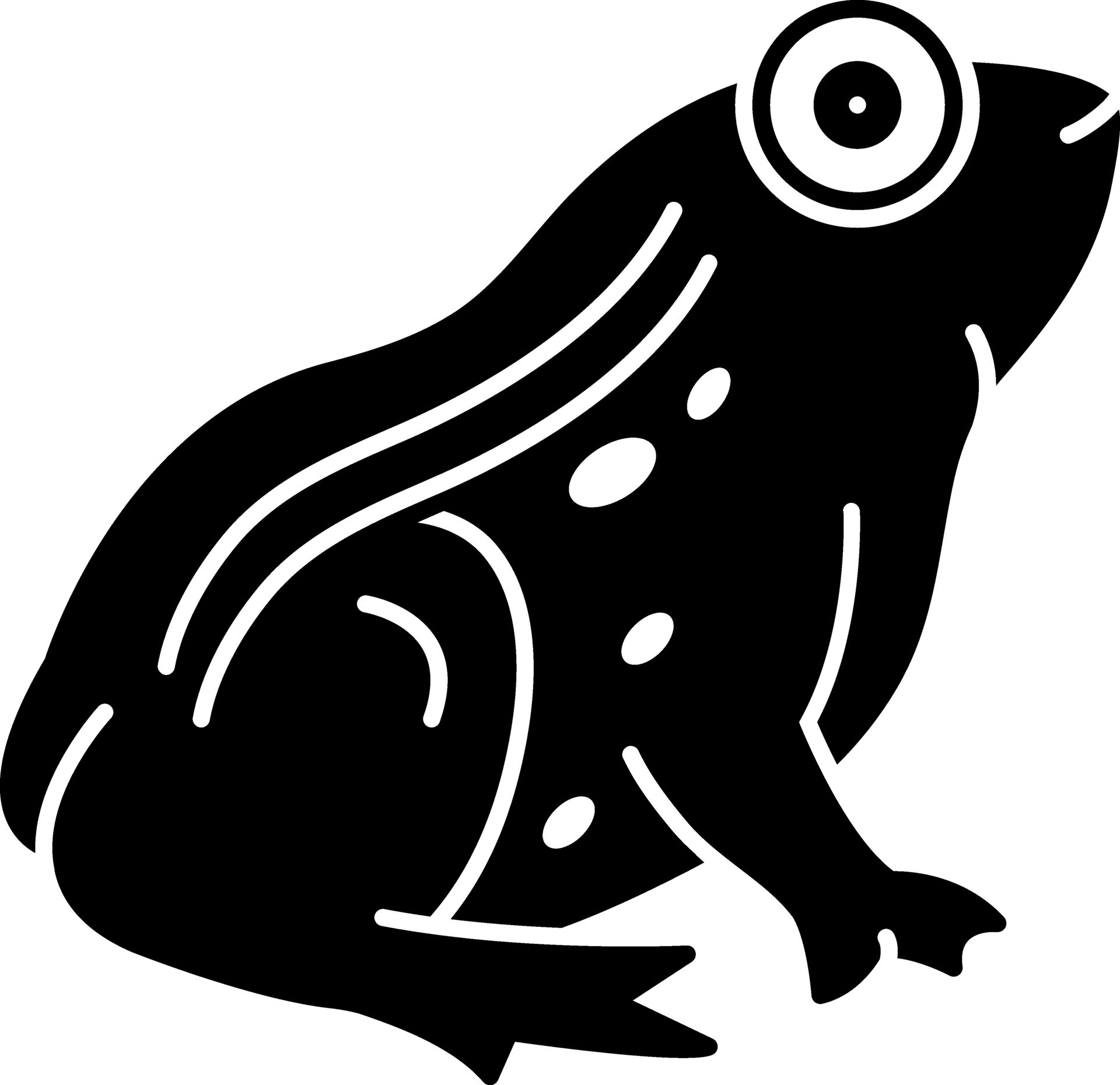 solid icon for frog 27533668 Vector Art at Vecteezy