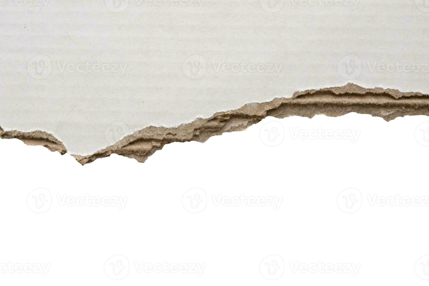 White ripped paper torn edges strips isolated on white background photo