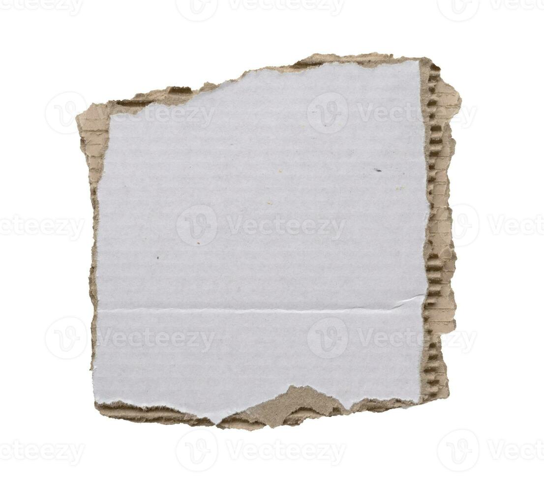 piece of white paper tear isolated on white background photo