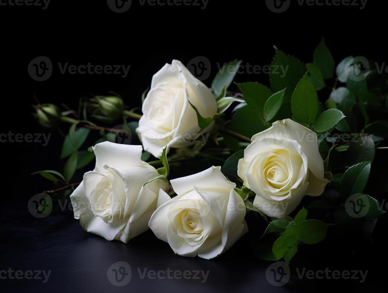 Soft Curves and Subtle Textures - A Captivating Still Life of White Roses - AI generated photo