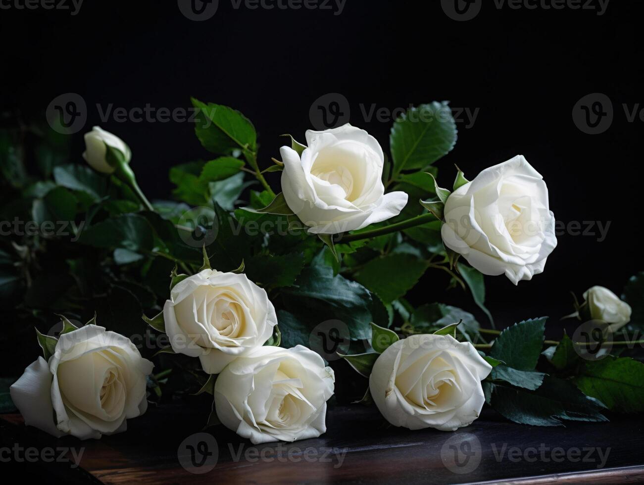 Elegance in Bloom - A High-Angle Still Life of White Roses - photo