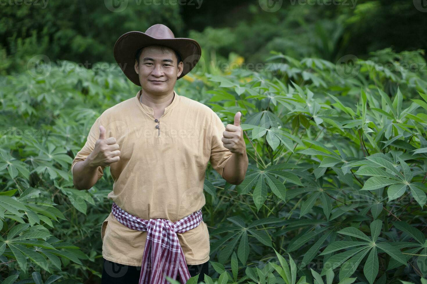 hermoso asiático tailandés hombre jardinero es a mandioca jardín, pulgares arriba, usa sombrero y cinturón taparrabo en cintura. concepto ,feliz agricultor. satisfecho en agricultura productos agrícola ocupación. foto