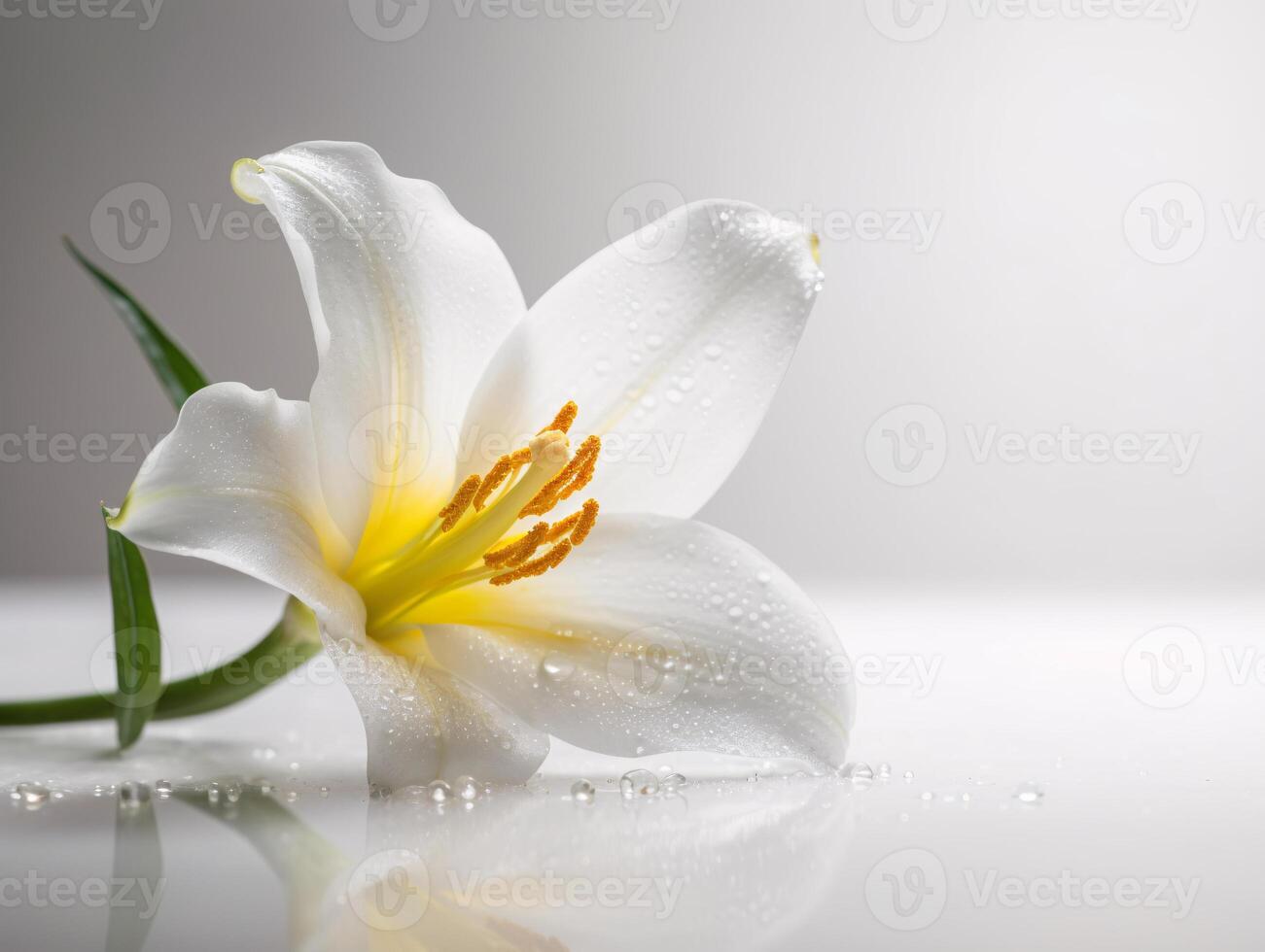 White Lily with Yellow Center on Soft White Background - AI generated photo