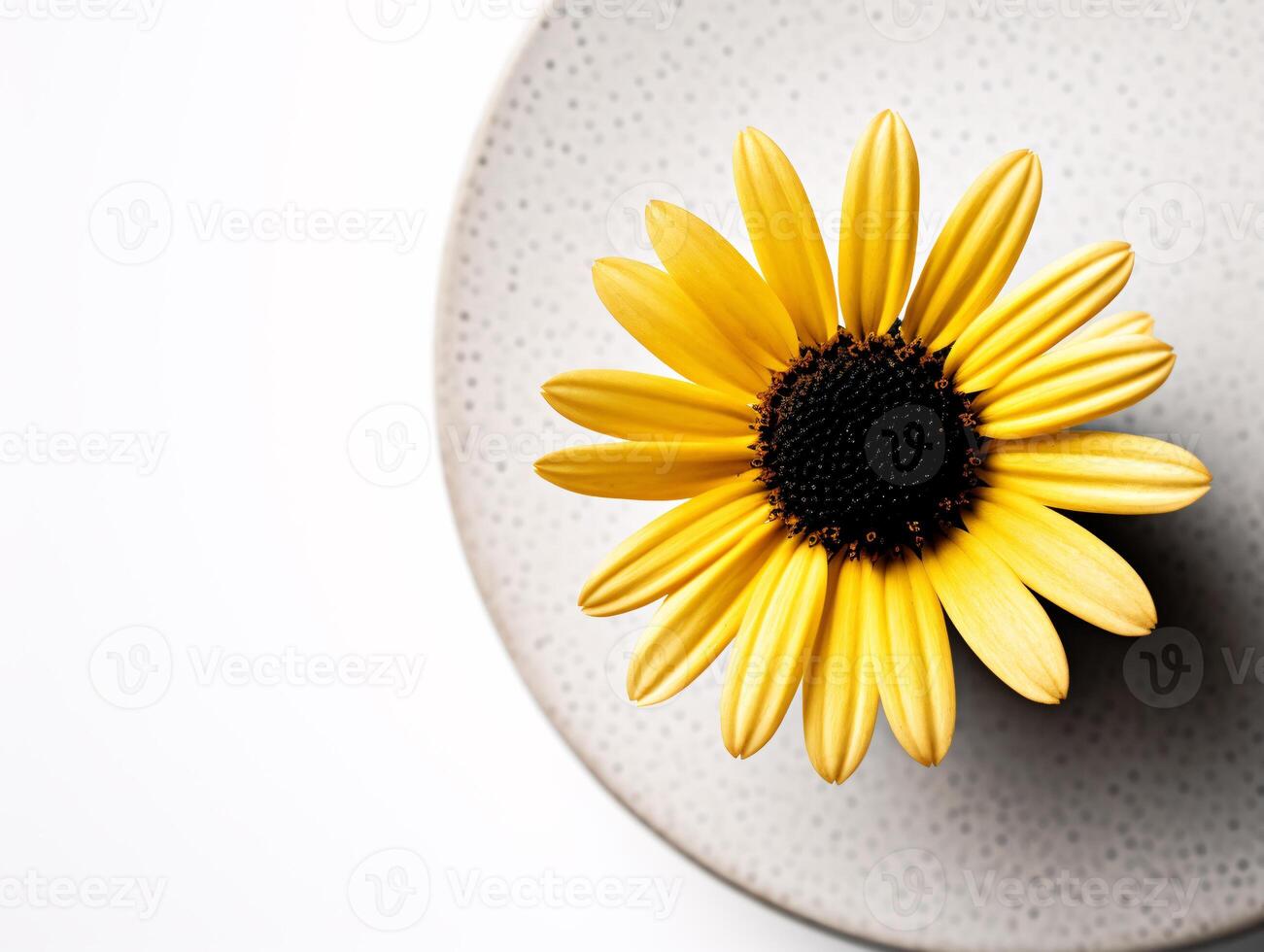 Serenity in Simplicity - A Minimalist Yellow Daisy - photo