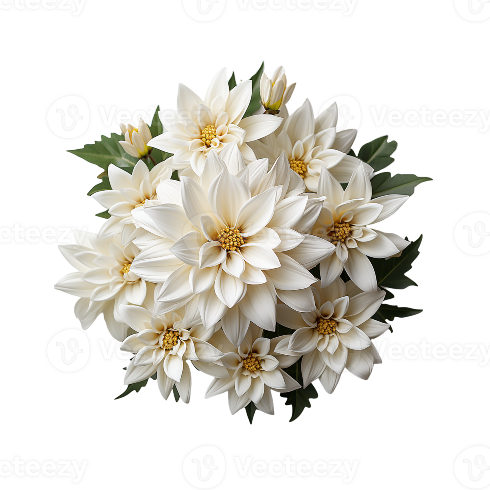 blanc fleur png ai génératif