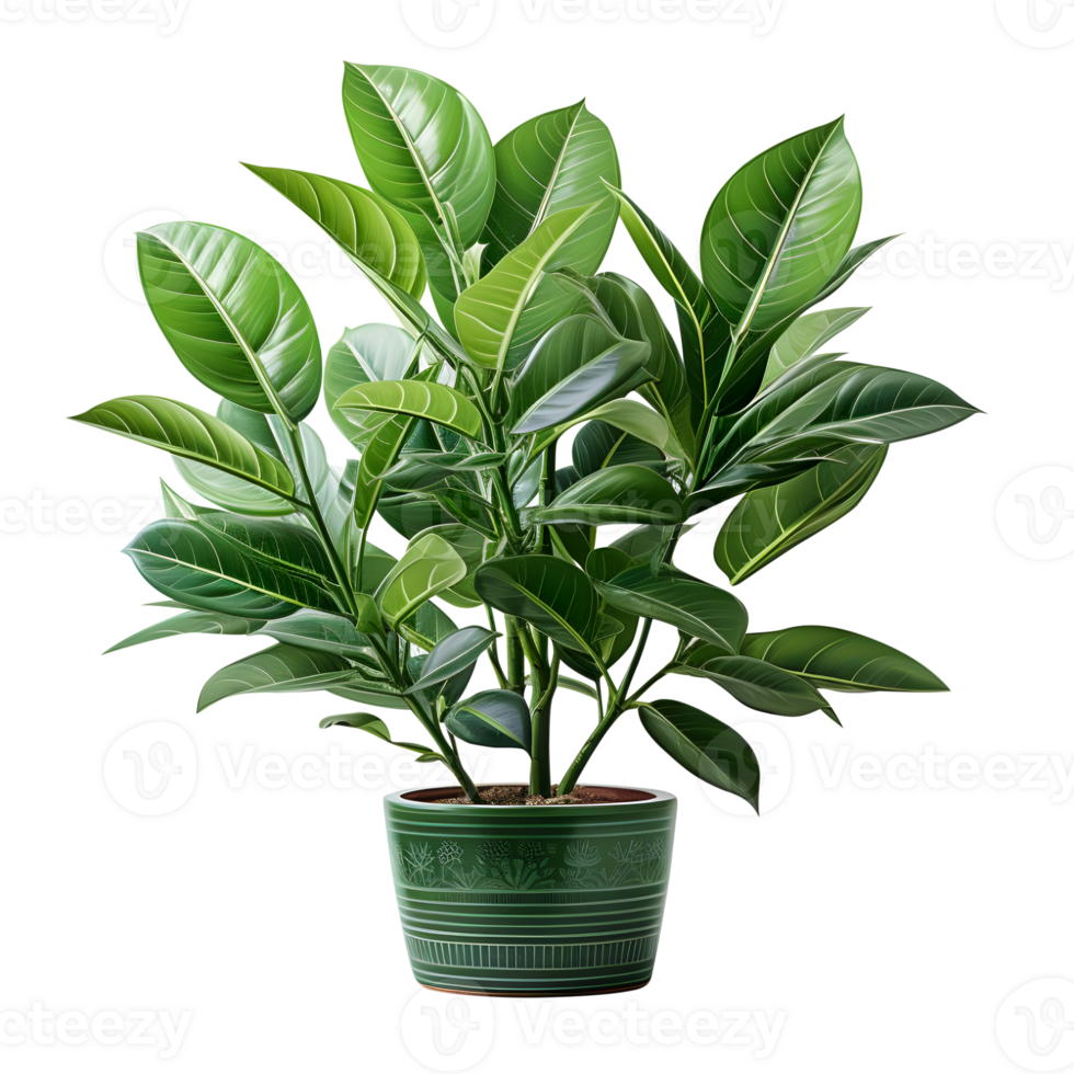 Houseplant in pot, Cutout, Ai generative png