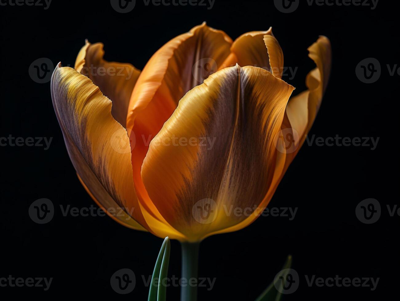 Capturing the Beauty of a Yellow Tulip - A Macro Photography Study - AI generated photo