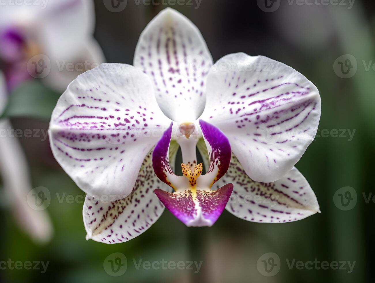 Nature's Masterpiece - Capturing the Details of an Orchid - AI generated photo