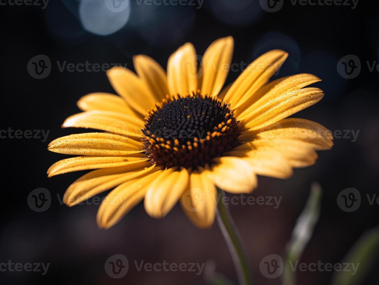 capturar el belleza de un amarillo margarita con un superficial profundidad de campo - ai generado foto