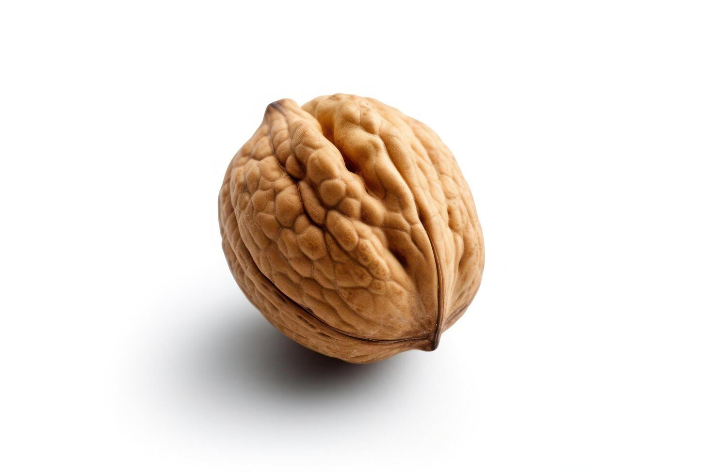 a close up of a walnut on a white background photo
