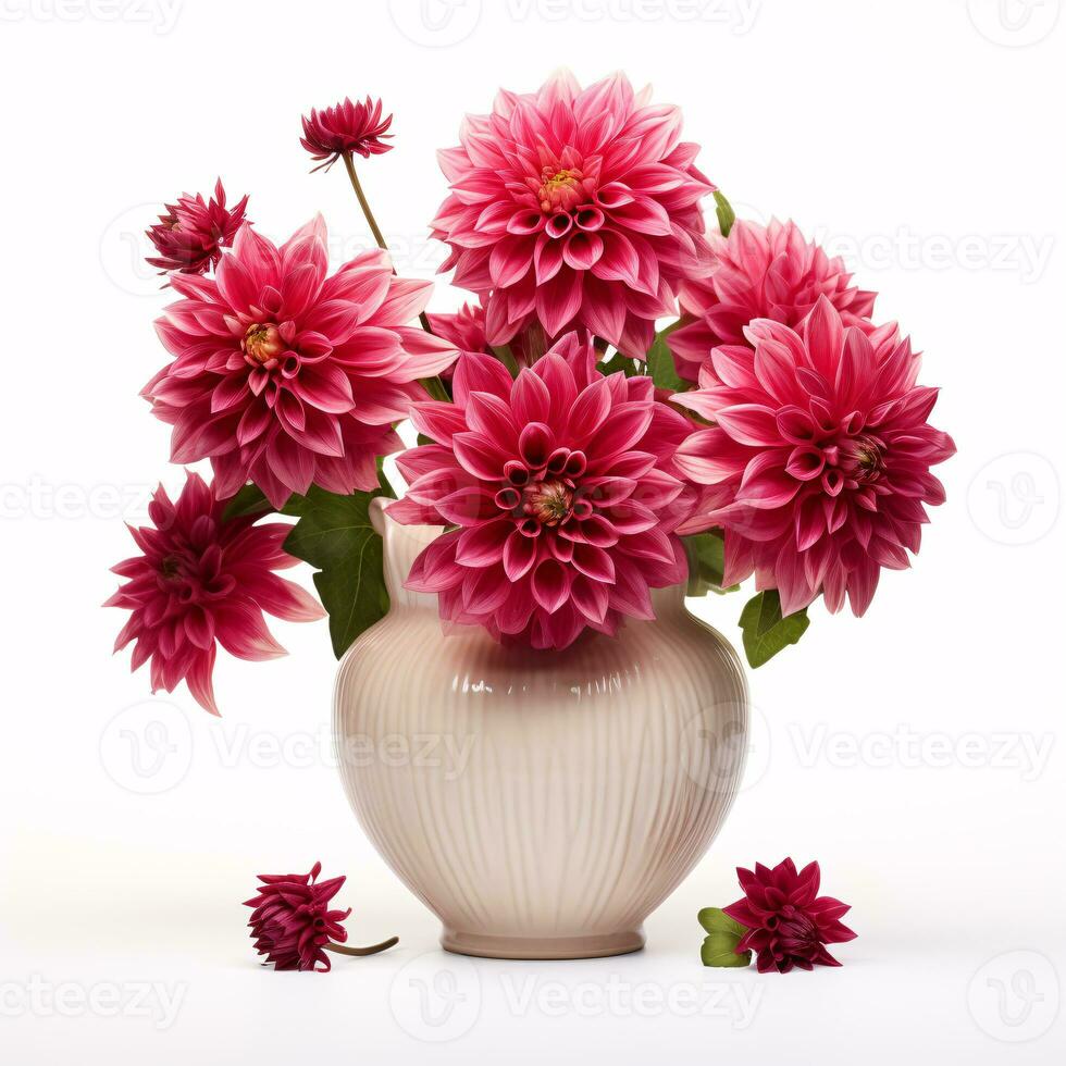 AI generative Dahlias in a ceramic pot isolated on white background photo