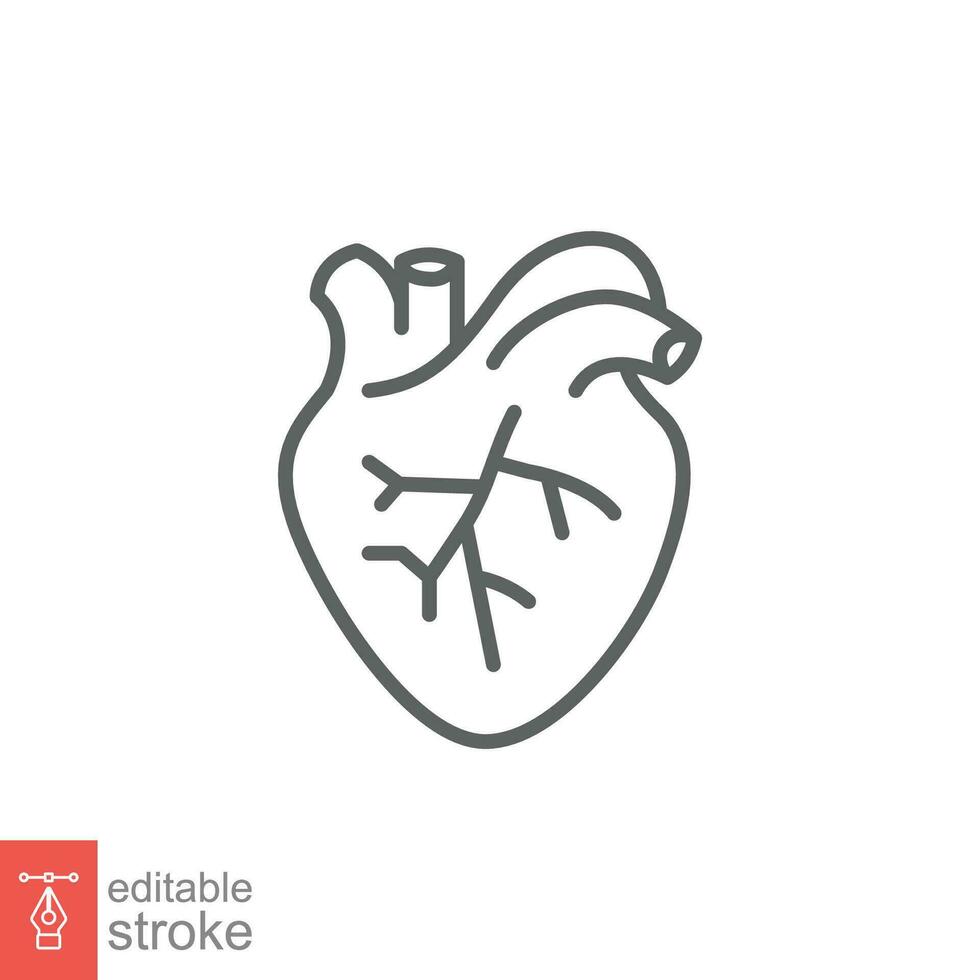 Human heart icon. Simple outline style. Internal organ, real, cardiology, cardiac anatomy, medical concept. Thin line symbol. Vector illustration isolated on white background. Editable stroke EPS 10.