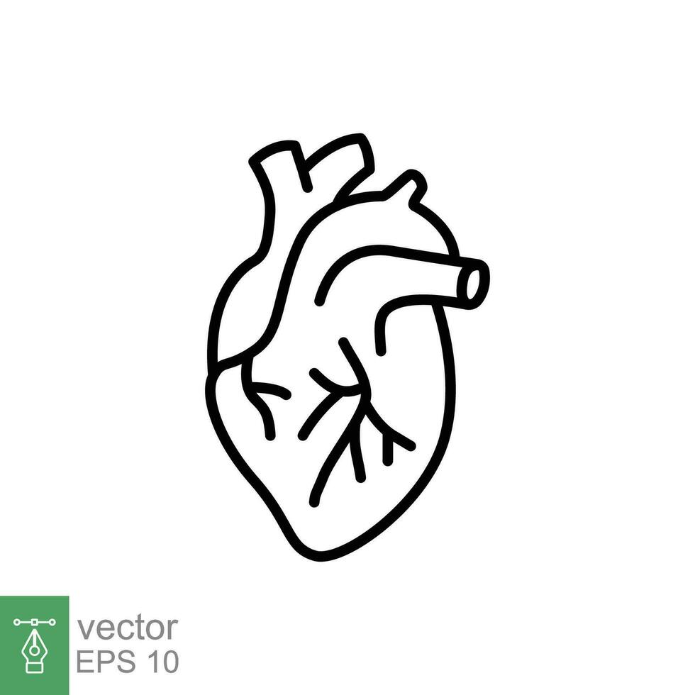 humano corazón icono. sencillo contorno estilo. interno Organo, real, cardiología, cardíaco anatomía, médico concepto. Delgado línea símbolo. vector ilustración aislado en blanco antecedentes. eps 10