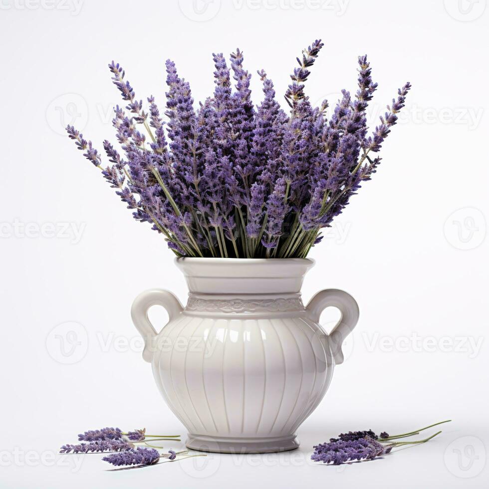 AI generative Lavender in a ceramic pot isolated on white background photo