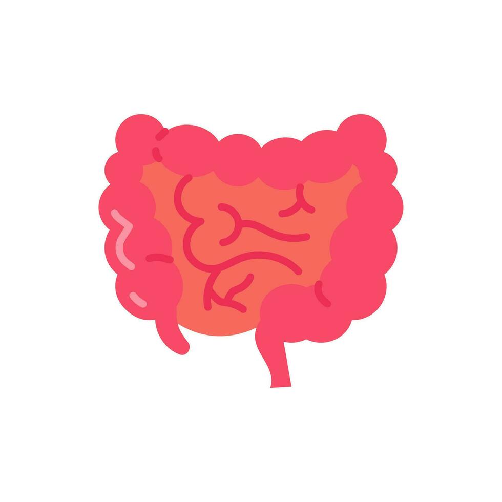 Large Intestine icon in vector. Illustration vector