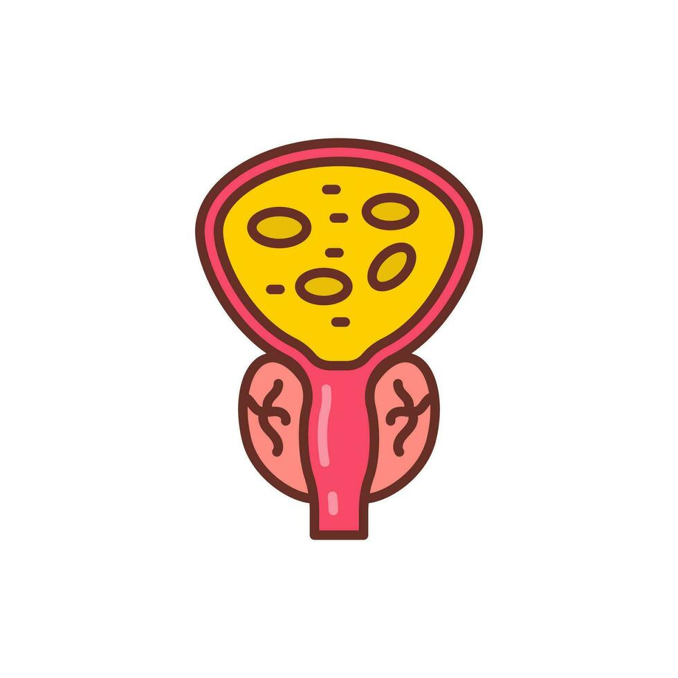 Prostate icon in vector. Illustration vector