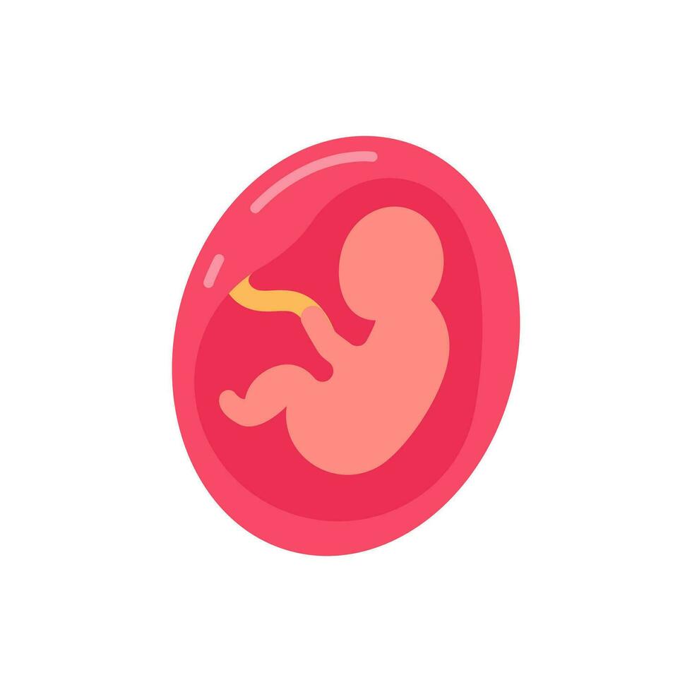 Fetus icon in vector. Illustration vector