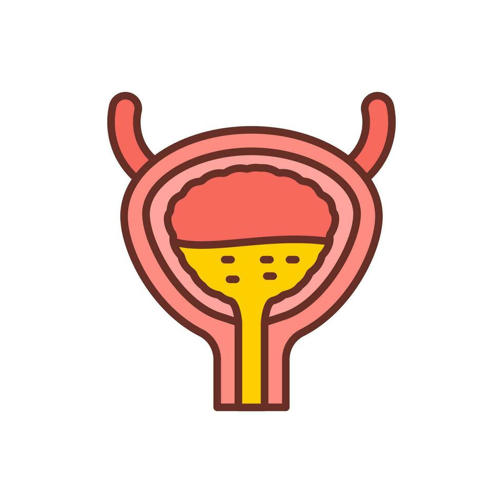 Bladder icon in vector. Illustration vector