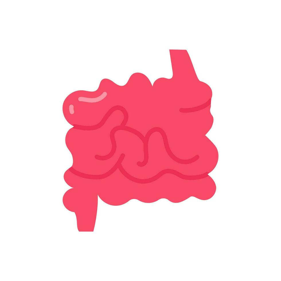 pequeño intestino icono en vector. ilustración vector