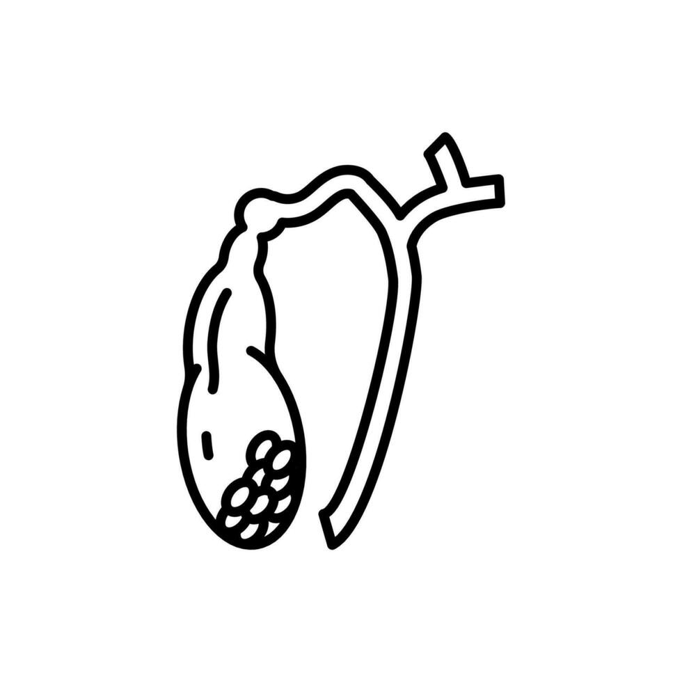 Gallbladder icon in vector. Illustration vector
