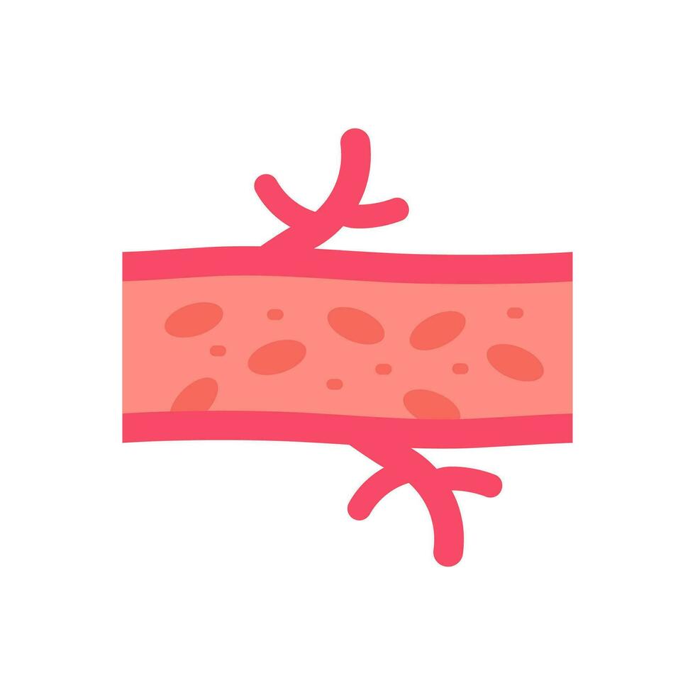 Arteries icon in vector. Illustration vector