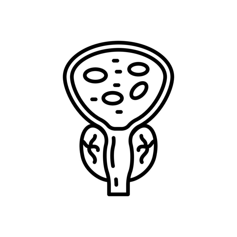 Prostate icon in vector. Illustration vector