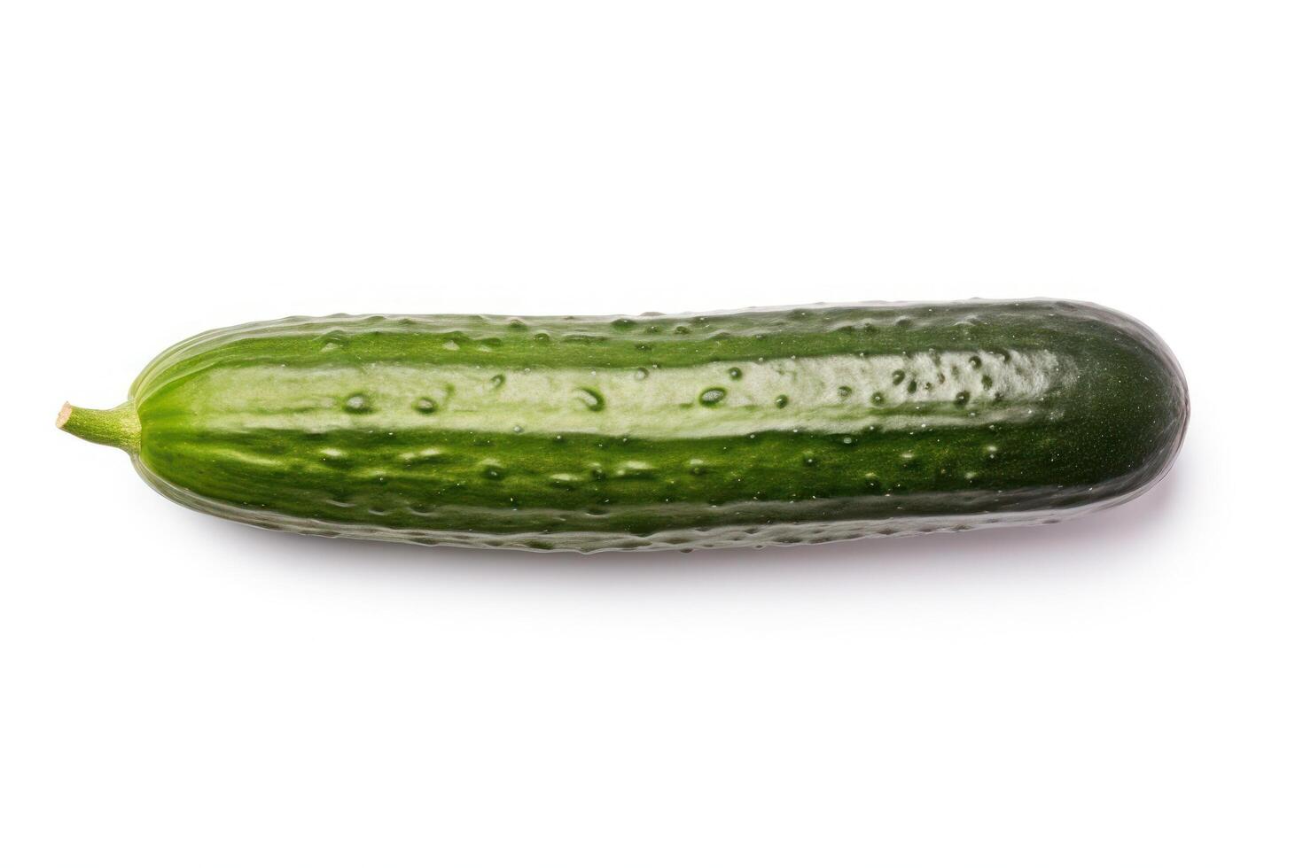 a cucumber isolated on a white background photo
