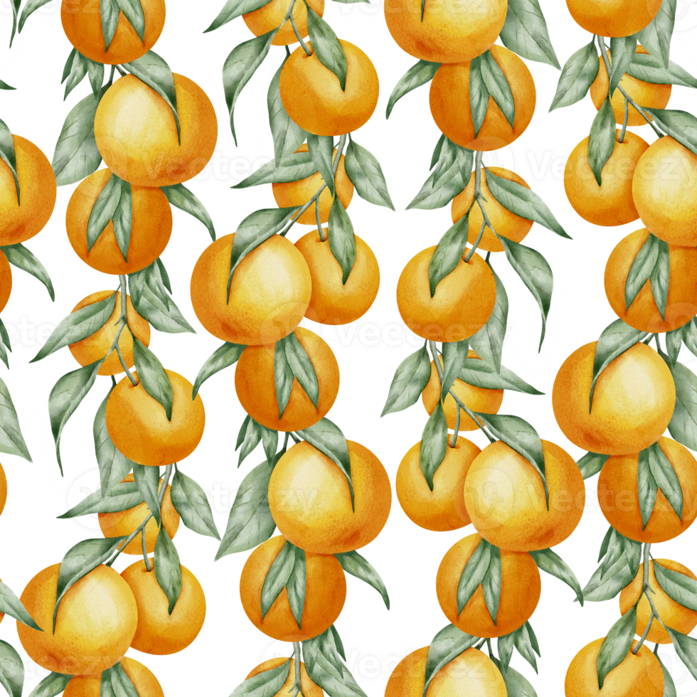 Seamless Pattern with Orange Fruit Branches, green leaves. Hand drawn watercolor illustration of citrus food for wrapping paper or textile design. Print with tangerine on white isolated background png